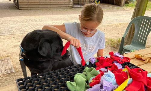 EDI Tilburg begeleiding met een hond als co-begeleider