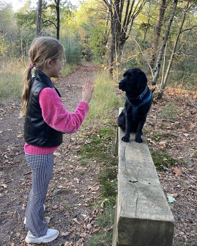 EDI Tilburg dagbesteding voor volwassenen en jeugd Tilburg honden paarden paardrijden zorgvrager zorgmedewerker zorgaanbieder individuele individuele begeleiding hond individuele individuele begeleiding paard therapeutisch paardrijden favoriete hond vrijwilliger worden stagiaire worden buiten bezig zijn leuke collega's